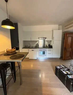 Cuisine ou kitchenette dans l'établissement Appartement Biot Village
