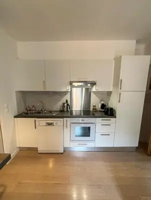 Cuisine ou kitchenette dans l'établissement Appartement Biot Village