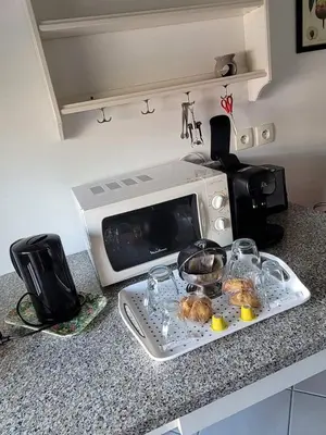 Cuisine ou kitchenette dans l'établissement VILLENEUVE LOUBET PLAGE- Entre NICE et CANNES
