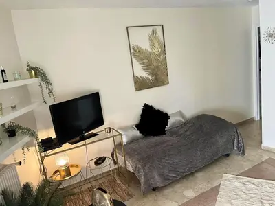 Télévision ou salle de divertissement dans l'établissement Studio charmant au cœur de Cannes avec balcon et parking