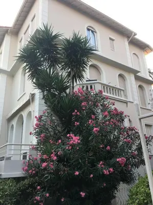 Jardin de l'établissement Cozy 1 bedroom flat,free parking, close to center