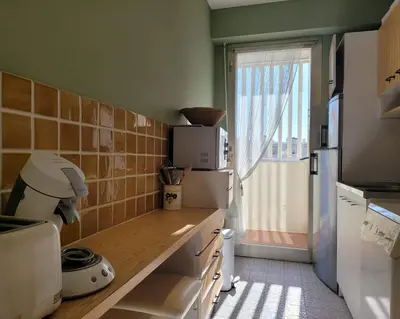 Cuisine ou kitchenette dans l'établissement LA PRESQU'ILE T2 PALM BEACH MOURE ROUGE