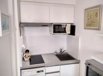 Cuisine ou kitchenette dans l'établissement Résidence Graziella Studio 623