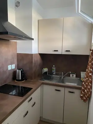 Cuisine ou kitchenette dans l'établissement Joli studio calme et central