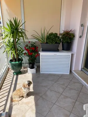 Balcon ou terrasse dans l'établissement Les Pervenches