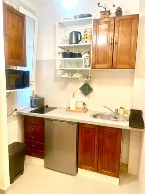 Cuisine ou kitchenette dans l'établissement Azur Studio Riviera Stay