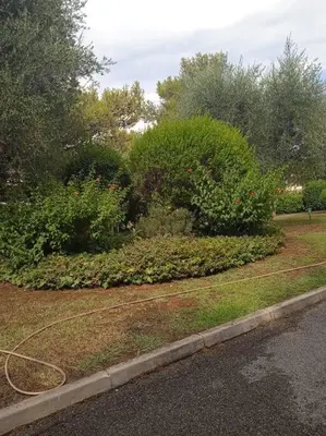 Jardin de l'établissement Antibes Quiet studio air-condit-swim. pool tennis