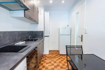 Cuisine ou kitchenette dans l'établissement Cannes Branly :2BDR Apartment
