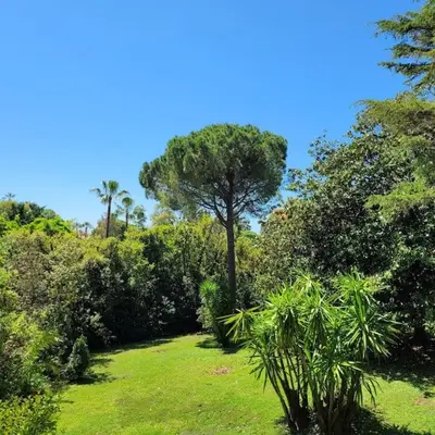 Jardin de l'établissement Cannes centre beau 2 pièces 50 M2 plus terrasse à 12 min plages et Palais au calme