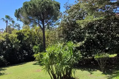 Jardin de l'établissement Cannes centre beau 2 pièces 50 M2 plus terrasse à 12 min plages et Palais au calme