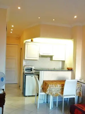 Cuisine ou kitchenette dans l'établissement Studio Croisette