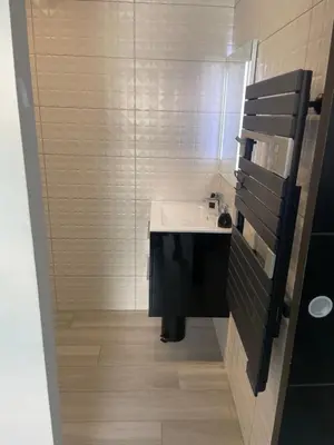 Salle de bains dans l'établissement Studio Cannes banane