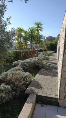 Paysage naturel près de la villa