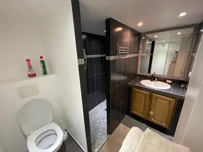 Salle de bains dans l'établissement Holiday Home l'Angelet