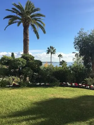 Jardin de l'établissement SUPER CANNES FRONT DE MER LUXUEUX VUE UNIQUE