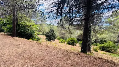 Plan de l'établissement Mougins le Haut - Rez de Jardin - Terrasse - Piscine