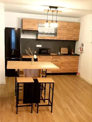 Cuisine ou kitchenette dans l'établissement Magnifique 2 pieces