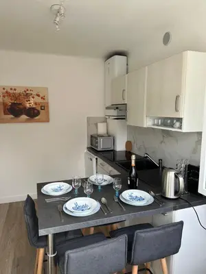 Cuisine ou kitchenette dans l'établissement Appartement Cannes