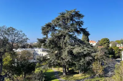 Paysage naturel près de l'appartement