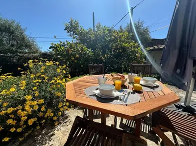 Boissons dans l'établissement Bas de villa provençale 2 pièces avec Jardin