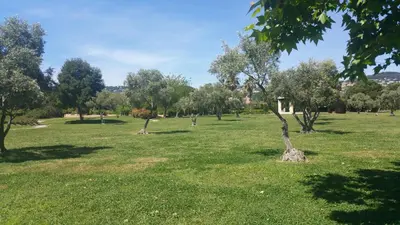 Jardin de l'établissement Domaine Juan Flore Studio Voilier