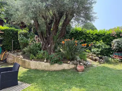 Jardin de l'établissement magnifique maison 6 personne piscine