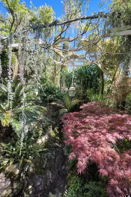 Jardin de l'établissement Le Bel - Jardin - Parking - VCA