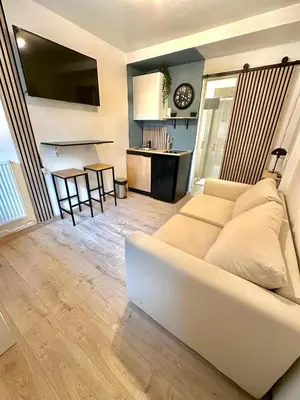 Cuisine ou kitchenette dans l'établissement Charmant studio avec jardin