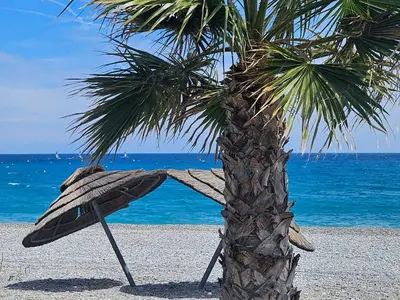 Plan de l'établissement Appartement bord de mer, piscine