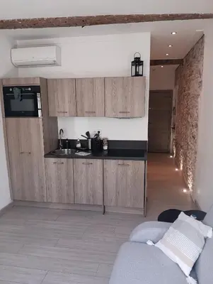 Cuisine ou kitchenette dans l'établissement Adorable studio vieil Antibes
