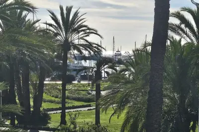 Jardin de l'établissement Cannes Croisette Loft vue mer