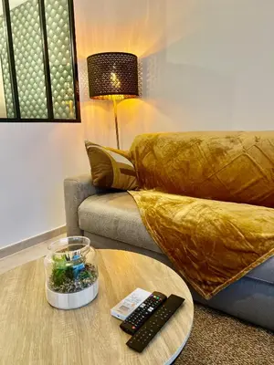 Coin salon dans l'établissement Appartement Cosy, Calme et Climatisé proche centre