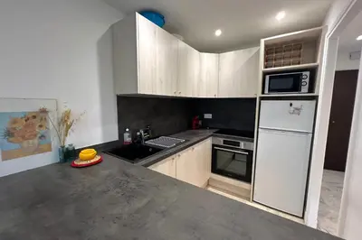 Cuisine ou kitchenette dans l'établissement JUAN LES PINS - 4 people - swimming pool