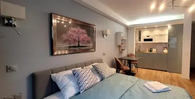 Cuisine ou kitchenette dans l'établissement Cozy studio in the heart of Cannes