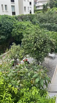 Jardin de l'établissement Positive
