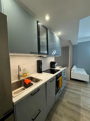 Cuisine ou kitchenette dans l'établissement Appartement rempart d'Antibes