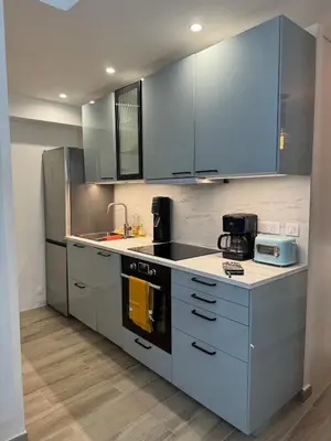Cuisine ou kitchenette dans l'établissement Appartement rempart d'Antibes