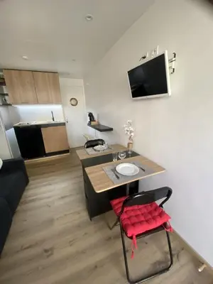 Cuisine ou kitchenette dans l'établissement Studio cosy Cannes à 250 m de la plage, pointe Croisette