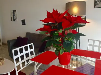 Coin salon dans l'établissement Appartement Dolce Vita