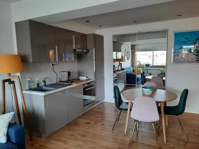 Cuisine ou kitchenette dans l'établissement One bedroom apartment Palm Beach