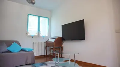 Télévision ou salle de divertissement dans l'établissement Mas Provencal 8 pers, air-conditioned private pool