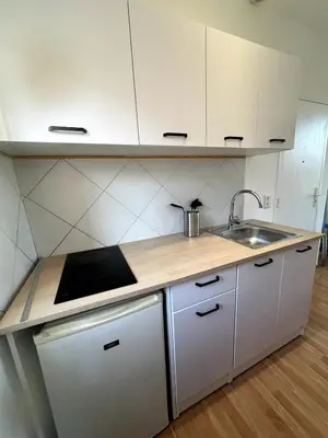 Cuisine ou kitchenette dans l'établissement NEW studio old Antibes
