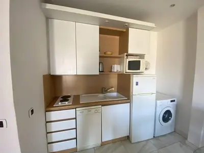 Cuisine ou kitchenette dans l'établissement 540 Cannes La Croisette - Joli studio au calme coté jardin