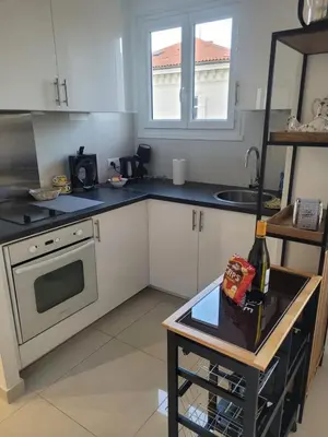 Cuisine ou kitchenette dans l'établissement Center Cannes Hippocampe
