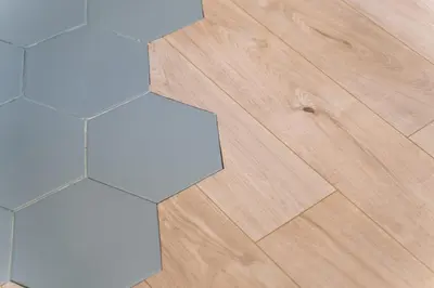 Plan de l'établissement Appartement T1bis Diane - Welkeys