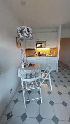 Cuisine ou kitchenette dans l'établissement Studio with terrace in the center with AC