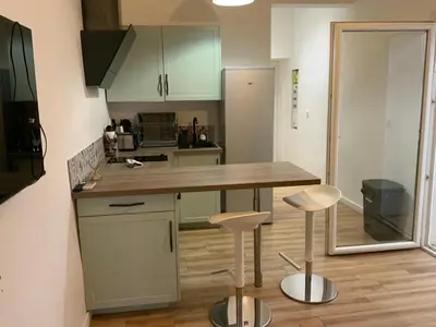 Cuisine ou kitchenette dans l'établissement appartement palmiers 2 pieces