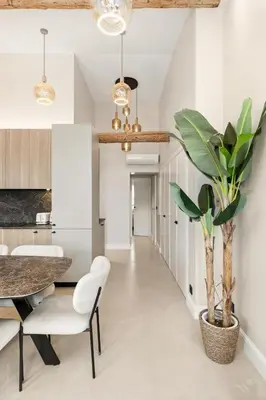 Cuisine ou kitchenette dans l'établissement Le Musti - A l'entrée du Viel Antibes