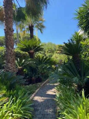 Jardin de l'établissement Prince de Galles