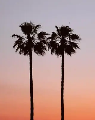 Lever ou coucher de soleil vu de l'appartement ou à proximité